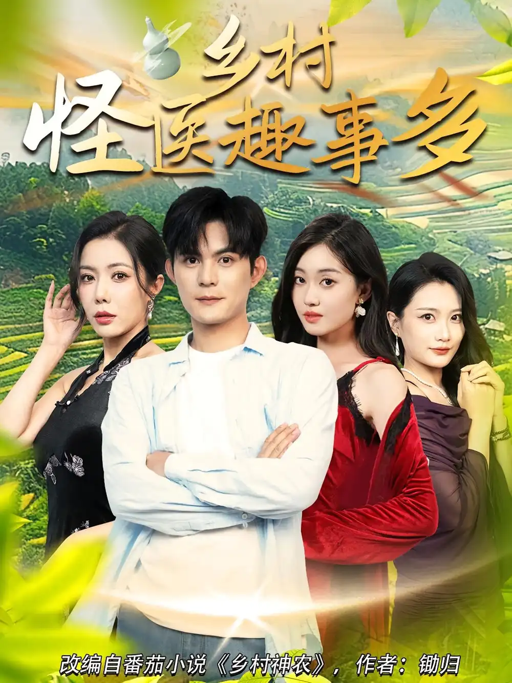 乡村怪医趣事多（63集）海报
