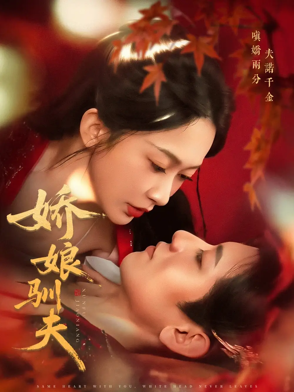 短剧《娇娘驯夫》高清完整版全集免费在线观看