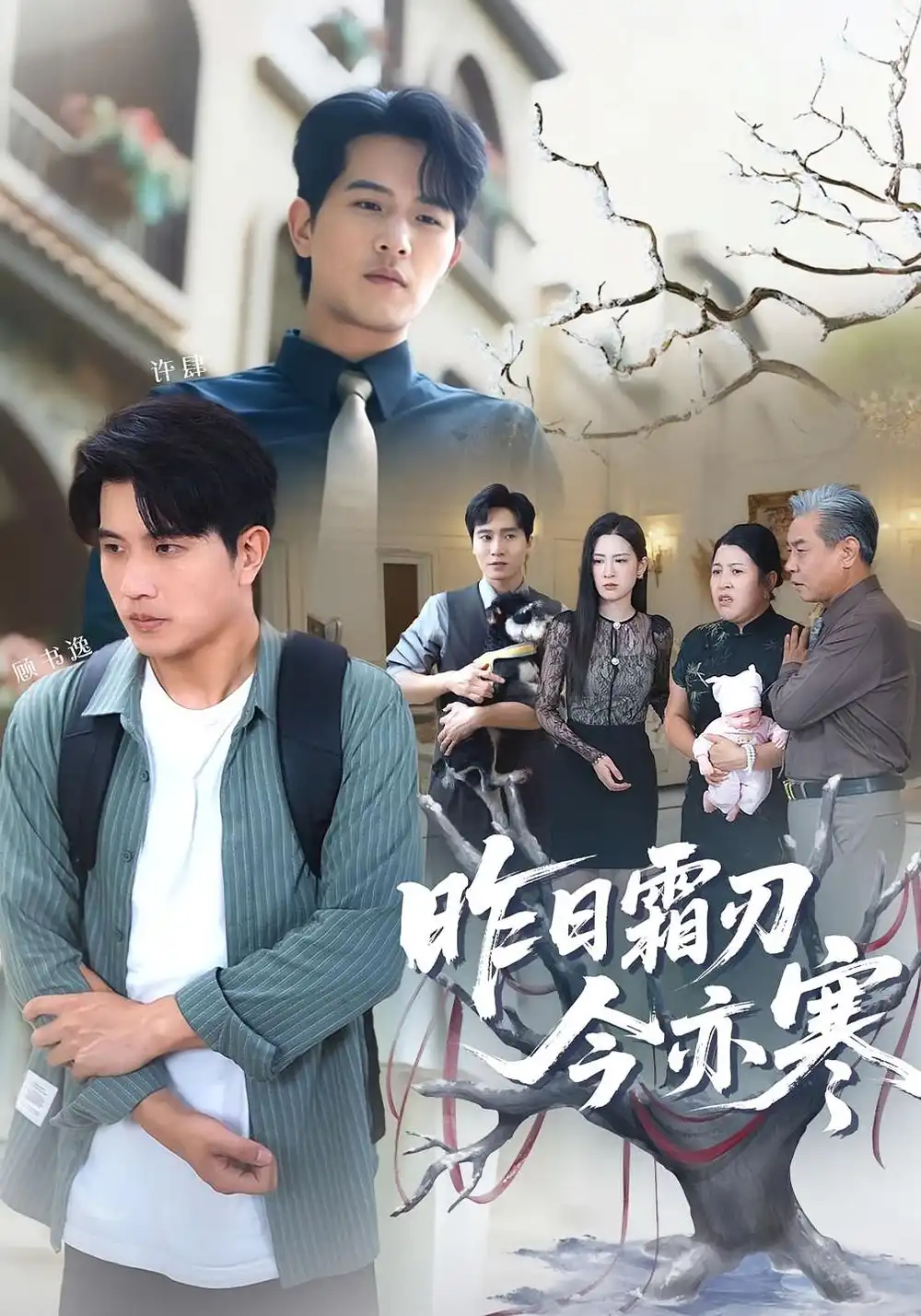 昨日霜刃今亦寒（80集）梅瑞滢&李刘朋海报