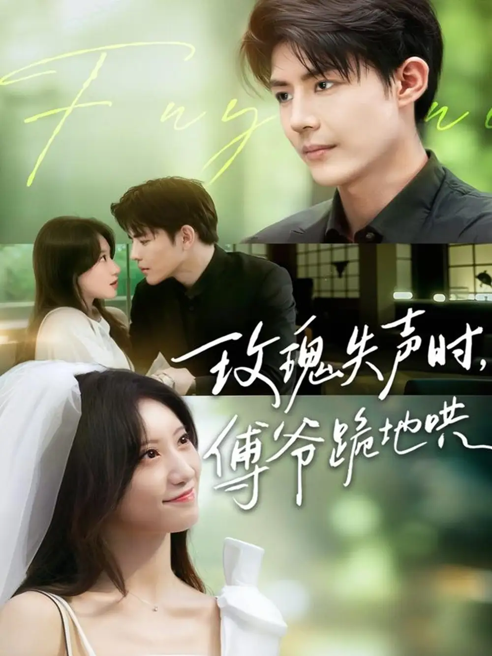 短剧《玫瑰失声时傅爷跪地哄》高清完整版全集免费在线观看