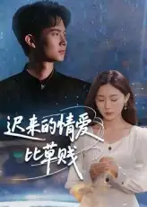 短剧《迟来的情爱比草贱》高清完整版全集免费在线观看