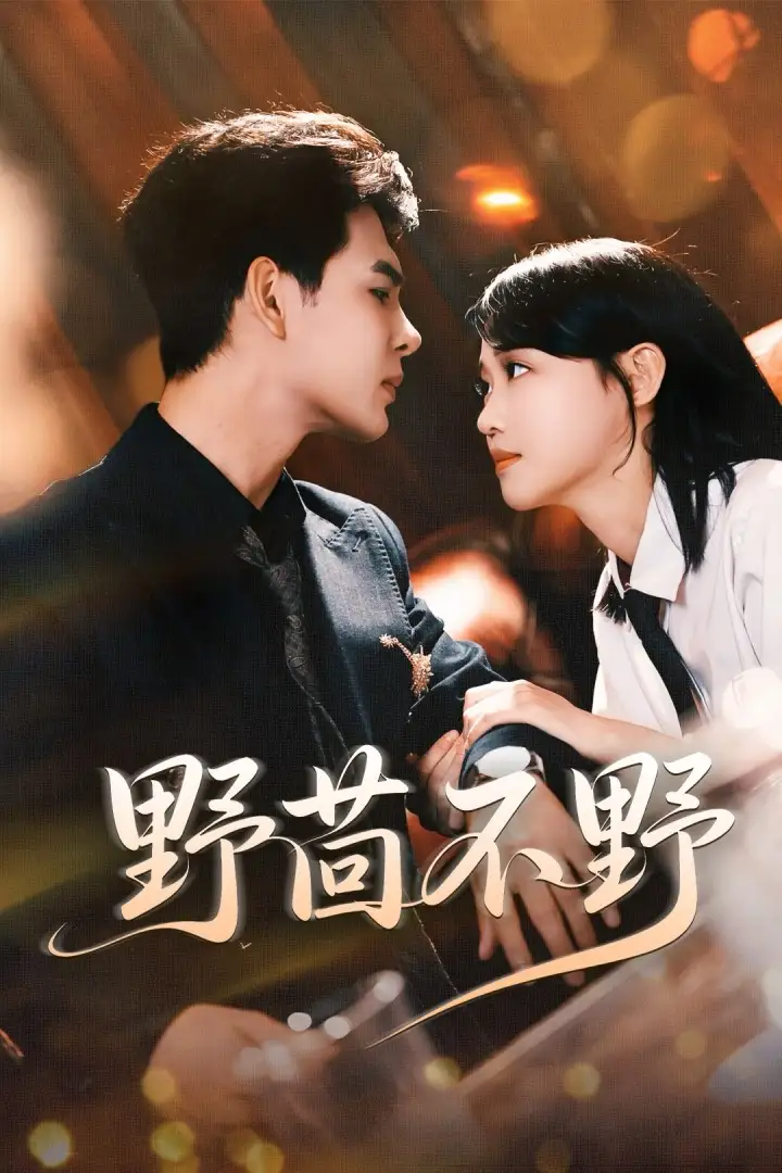 短剧《野茴不野》高清完整版全集免费在线观看