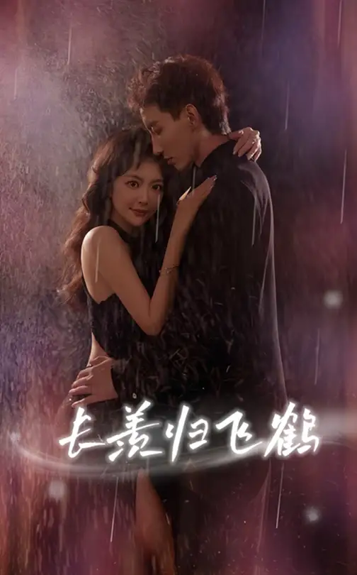 短剧《长羡归飞鹤》高清完整版全集免费在线观看