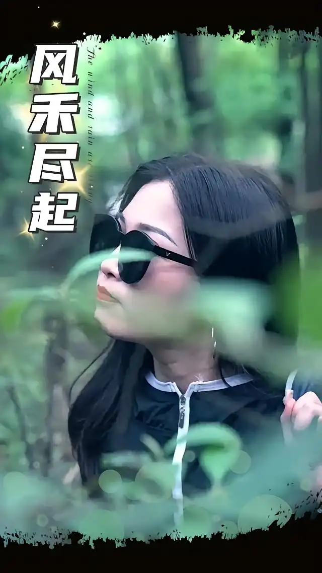 短剧《风禾尽起》高清完整版全集免费在线观看