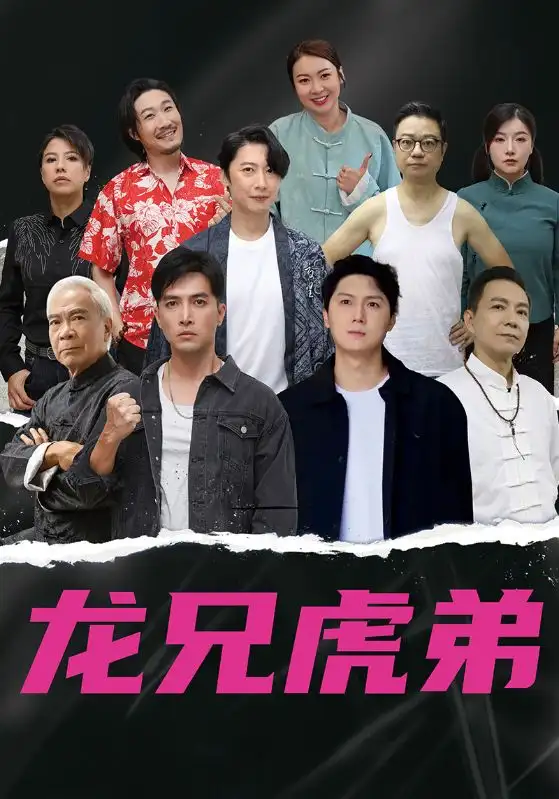 龙兄虎弟（60集）中文版海报