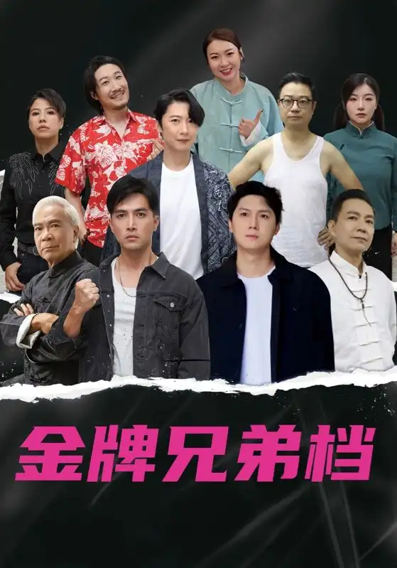 龙虎兄弟（60集）粤语版海报