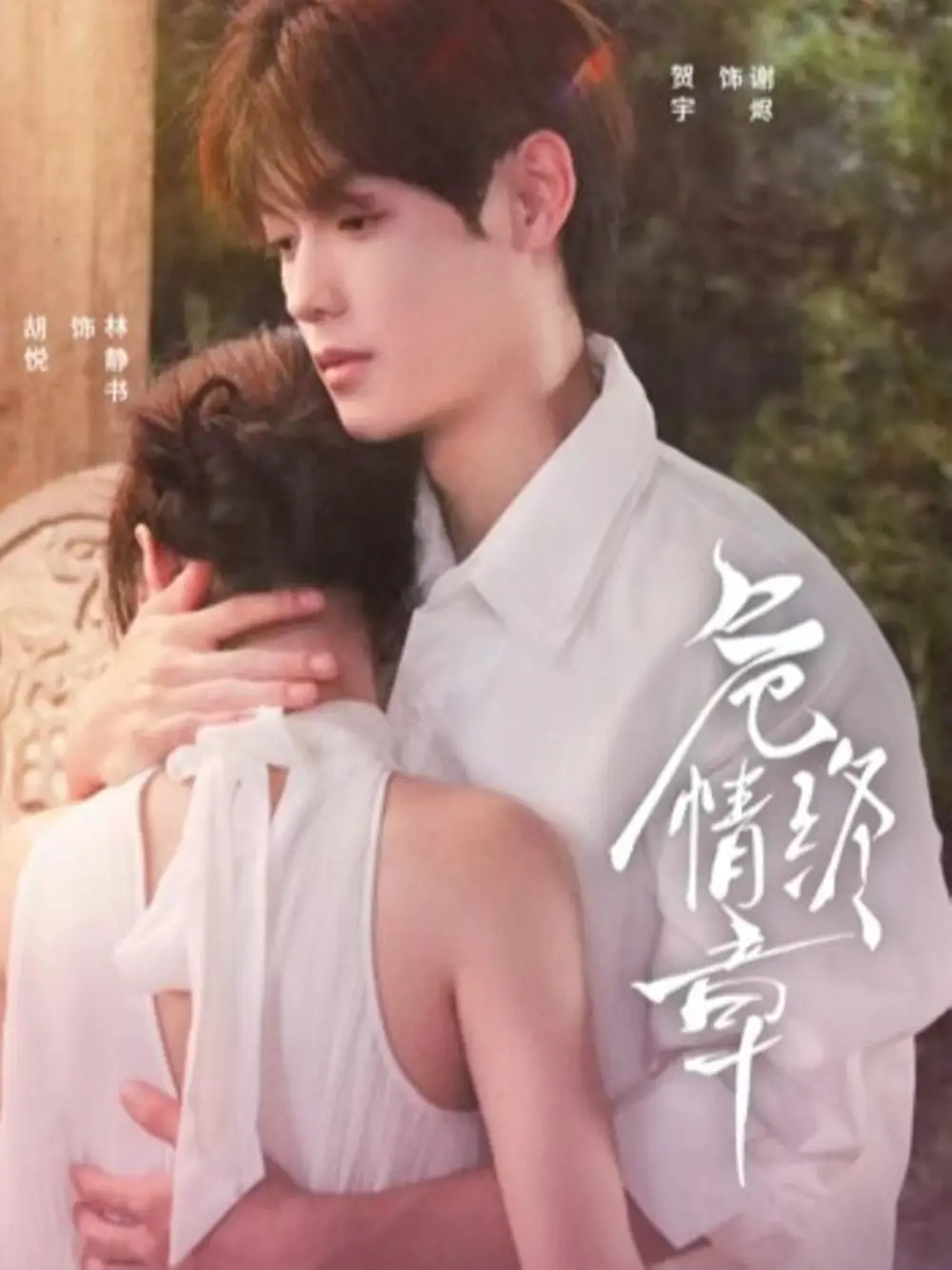 危情终章（60集）贺宇＆胡悦海报