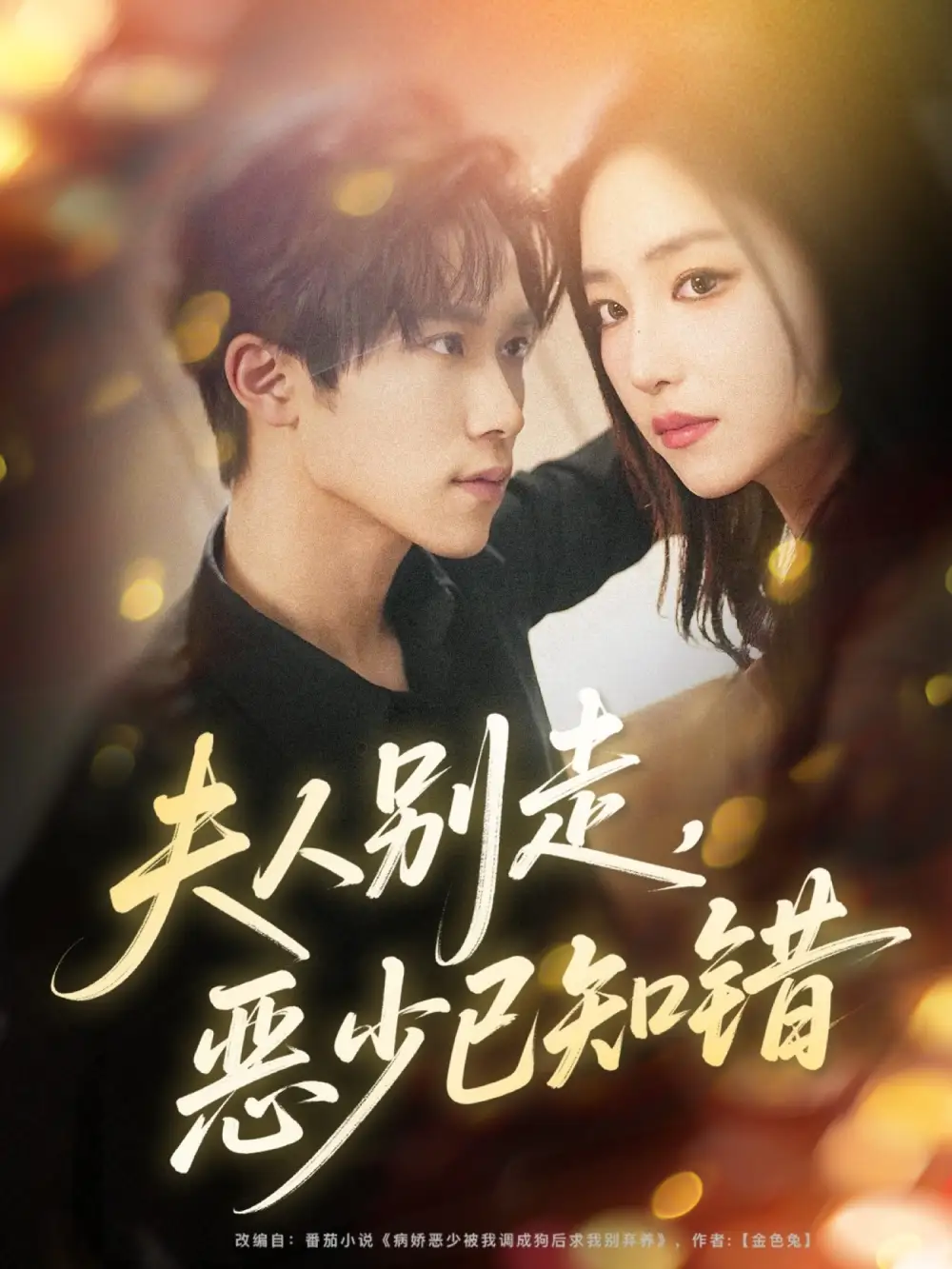 短剧《夫人别走恶少已知错》完整版免费观看全集