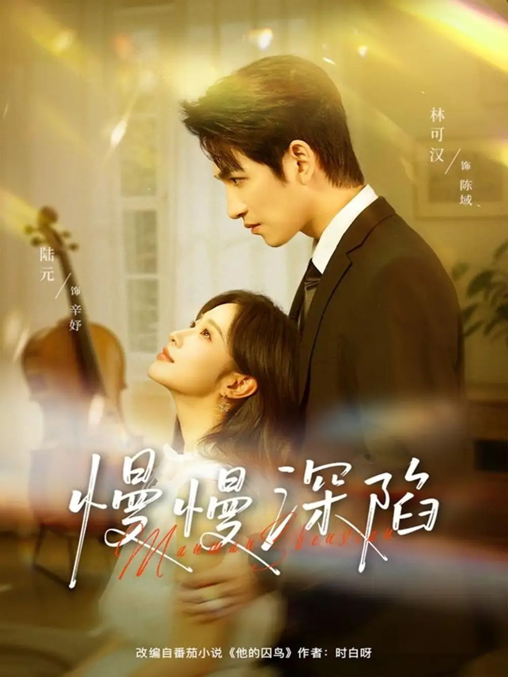 慢慢深陷（80集）林可汉＆陆元（情侣档）海报