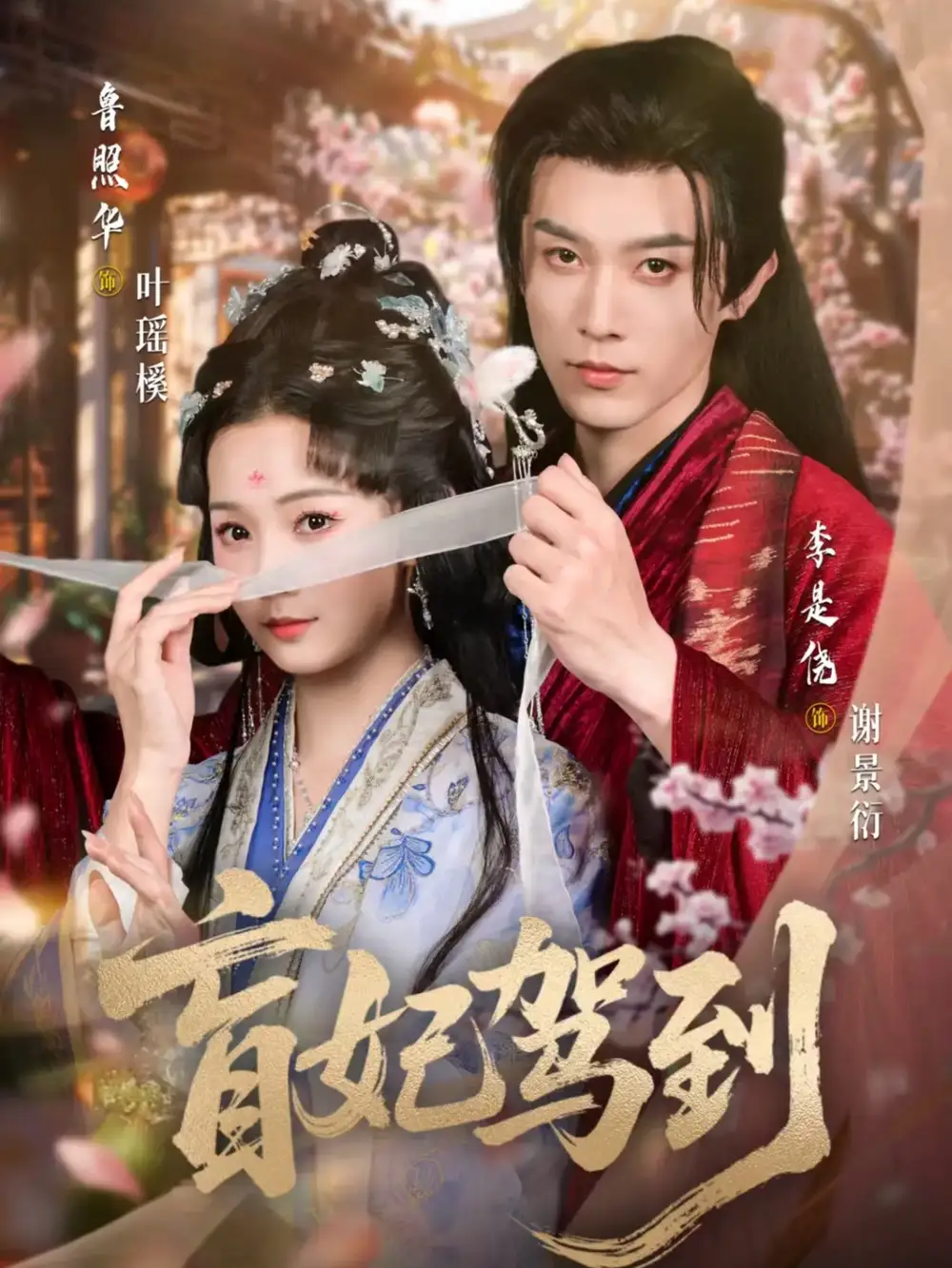 盲妃驾到(65集)鲁照华&李是侥高清海报图片 盲妃驾到(65集)鲁照华&李是侥海报