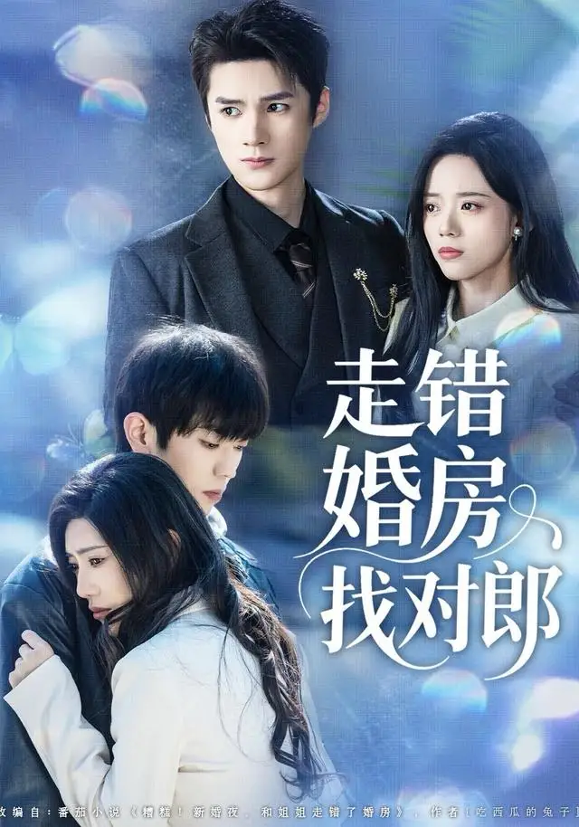 走错婚房找对郎(50集)刘辰锐&刘艺然高清海报图片 走错婚房找对郎(50集)刘辰锐&刘艺然海报