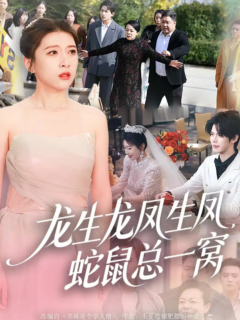 短剧《龙生龙凤生凤，蛇鼠总一窝》完整版免费观看全集